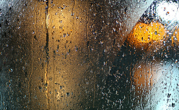 /Magazine/2021/November/600x370_25 (2).jpg